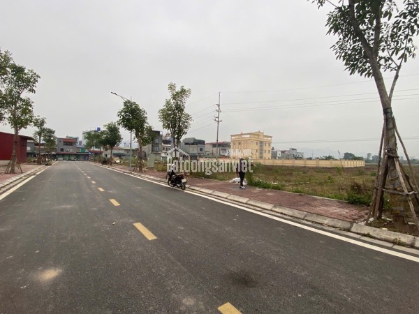 🌹 BÁN ĐẤT ĐẤU GIÁ  KÊNH ĐÀO - AN MỸ – MỸ ĐỨC 🌹