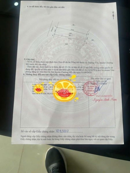 CHÍNH CHỦ NHỜ BÁN ĐẤT ĐẤU GIÁ PHÚC LÂM – MỸ ĐỨC – HÀ NỘI