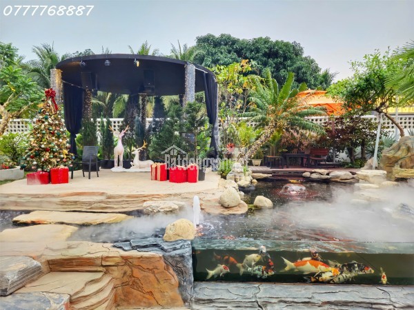 Bán đất 2MT KD quán cafe nổi tiếng Quận 9 gần Vinhome giá chỉ 20 - 28tr/m2