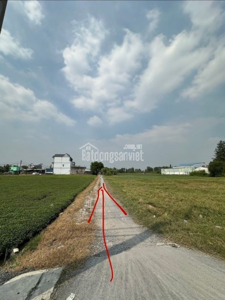 BÁN GẤP 2533m2 Đất- NN, SHR , Bà Điểm 4-  Hóc Môn-  Chỉ 27 Tỷ 5