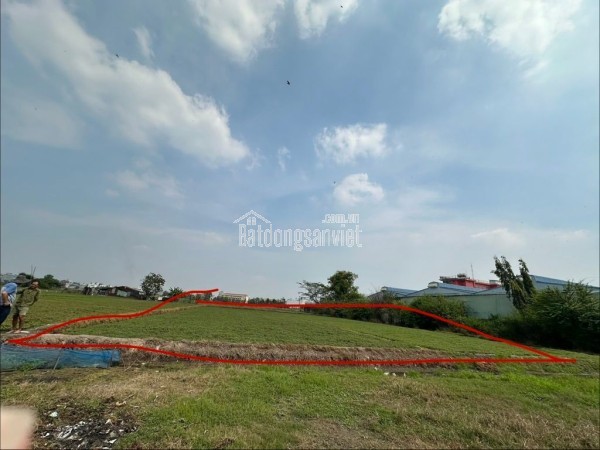 BÁN GẤP 2533m2 Đất- NN, SHR , Bà Điểm 4-  Hóc Môn-  Chỉ 27 Tỷ 5