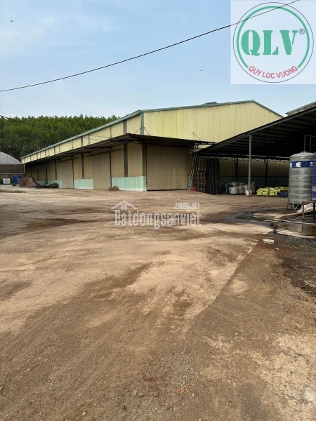 CHO THUÊ ĐẤT VÀ NHÀ XƯỞNG – VĨNH TÂN, VĨNH CỬU, ĐN – 5.000m²