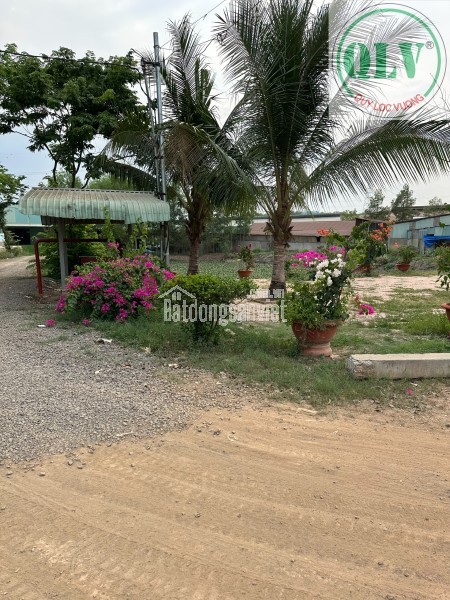 CHO THUÊ ĐẤT VÀ NHÀ XƯỞNG – VĨNH TÂN, VĨNH CỬU, ĐN – 5.000m²