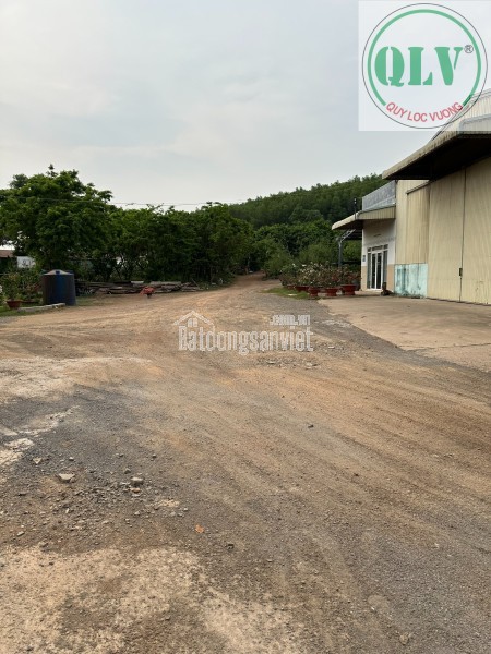 CHO THUÊ ĐẤT VÀ NHÀ XƯỞNG – VĨNH TÂN, VĨNH CỬU, ĐN – 5.000m²