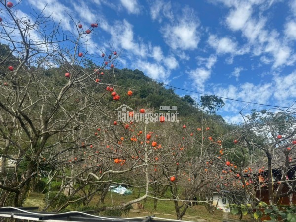 CHUYỂN NHƯỢNG KHU NGHỈ DƯỠNG TÂM AN 999 – TRUNG TÂM MỘC CHÂU