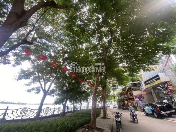 💥 SIÊU PHẨM MẶT PHỐ VỆ HỒ, QUẢNG AN 366M2 4T MT 11M, VIEW HỒ TÂY, CHỈ 460 TỶ 💥