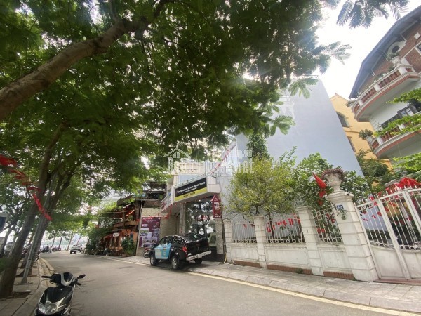 💥 SIÊU PHẨM MẶT PHỐ VỆ HỒ, QUẢNG AN 366M2 4T MT 11M, VIEW HỒ TÂY, CHỈ 460 TỶ 💥