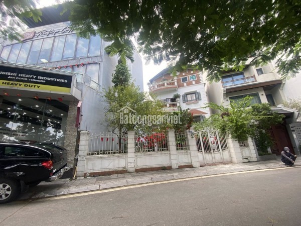 💥 SIÊU PHẨM MẶT PHỐ VỆ HỒ, QUẢNG AN 366M2 4T MT 11M, VIEW HỒ TÂY, CHỈ 460 TỶ 💥