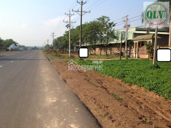 Cho thuê kho, nhà xưởng tại Xã Lộc An, Huyện Lộc Ninh, Bình Phước giá 40 Ngàn