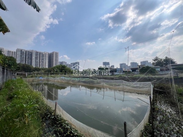 BÁN GẤP ĐẤT VÀNG 4140m2  Nguyễn Xiển – Long Thạnh Mỹ - Q9 Chỉ 50 Tỷ