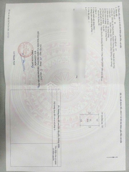 CƠ HỘI SỞ HỮU ĐẤT ĐẸP TẠI XÓM DINH – QUẢNG BỊ