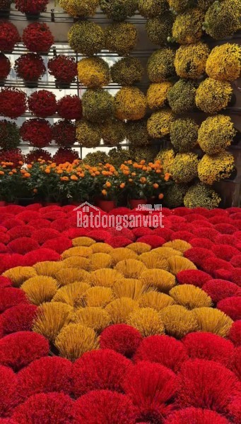 CẦN BÁN NHÀ TRỌ ĐƯỜNG LÊ ĐỈNH – PHƯỜNG HÒA XUÂN – QUẬN CẨM LỆ – ĐÀ NẴNG