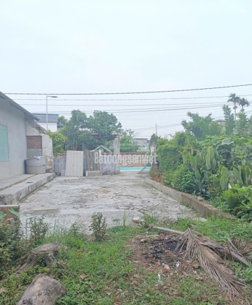 BÁN ĐẤT THÔN ĐÔNG HỒNG XÃ QUỲNH AN (TRƯỚC ĐÂY THUỘC QUỲNH BẢO, QUỲNH PHỤ, THÁI BÌNH)