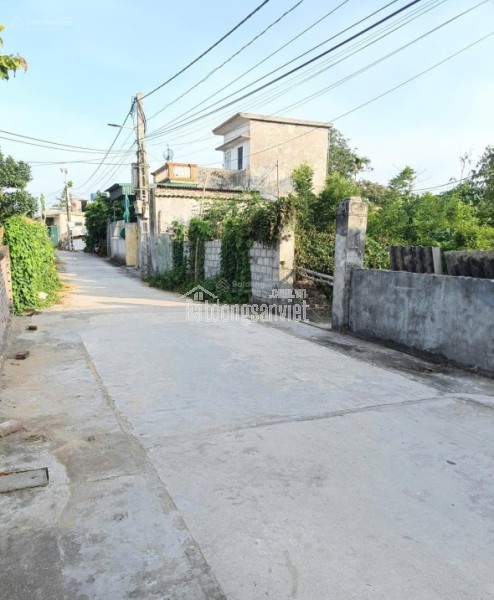 BÁN ĐẤT THÔN ĐÔNG HỒNG XÃ QUỲNH AN (TRƯỚC ĐÂY THUỘC QUỲNH BẢO, QUỲNH PHỤ, THÁI BÌNH)