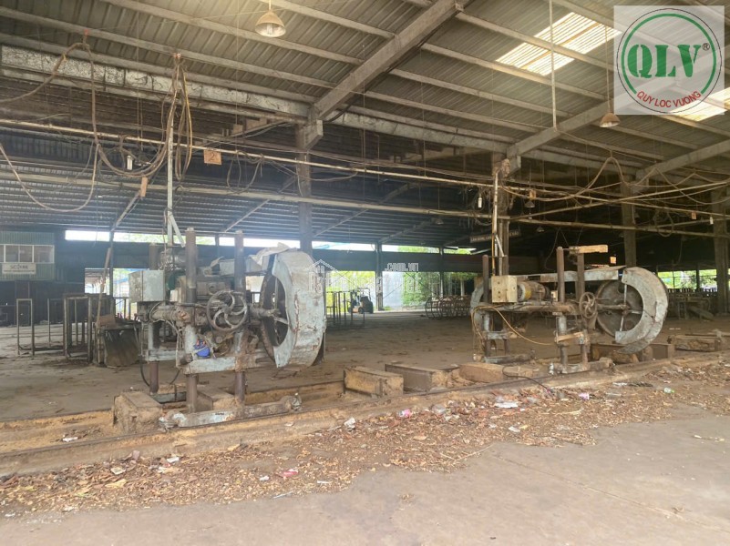 CHO THUÊ NHÀ XƯỞNG – HƯNG HÒA, BẾN CÁT, BD – 29.220m²