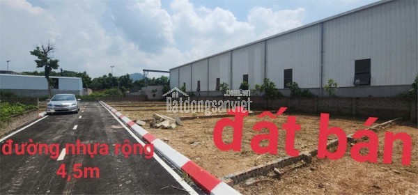 Đất Thái Lai-Minh Trí cũ đường trải nhựa sổ cực đẹp, giá cực xinh.