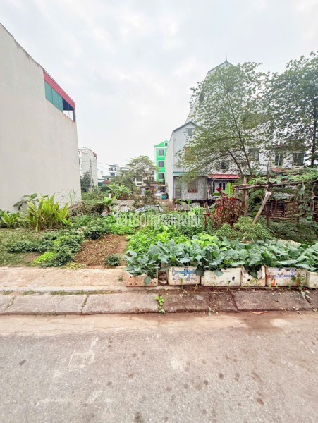 CC bán gấp lô 145m,veiw hồ,Hạ Bằng, Hoà Lạc.Sát ĐHQG, DH FPT,Trục chính,gần Metro.Giá chỉ 3.750tỷ