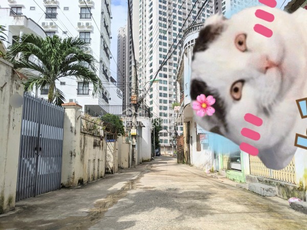 NHÀ MT VÕ TRỨ, CHỢ XÓM MỚI, TRUNG TÂM NHA TRANG DT: 137,8m² Giá bán: 21,5 tỷ ( tl ) lh e