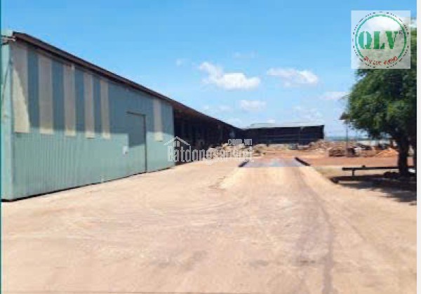 CHO THUÊ NHÀ XƯỞNG TÂN PHÚ,  ĐỒNG PHÚ, BP – 14.000m²