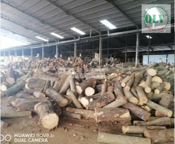 CHO THUÊ NHÀ XƯỞNG TÂN PHÚ,  ĐỒNG PHÚ, BP – 14.000m²