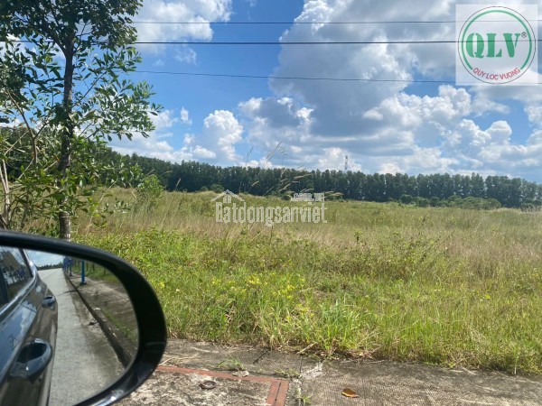 BÁN ĐẤT KHU CÔNG NGHIỆP – KCN BÀU BÀNG, BD – 52.071m²