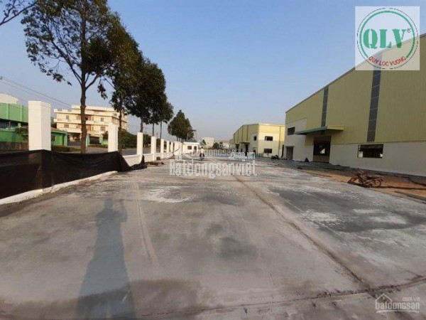 CHO THUÊ NHÀ XƯỞNG – KCN MỸ PHƯỚC, BẾN CÁT, BD – 20.019m²