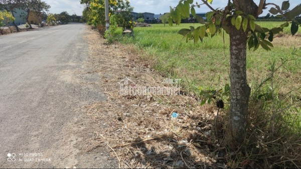 Bán lô đất thổ trung tâm Thị Trấn Tân Trụ 2 mặt tiền giá 1,7 tỷ