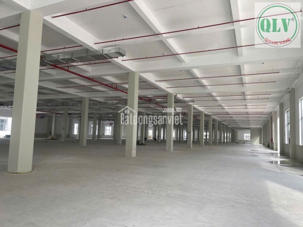 CHO THUÊ KHU NHÀ XƯỞNG – KCN BÀU BÀNG, BD – 52.815m²