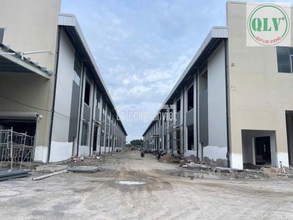 CHO THUÊ KHU NHÀ XƯỞNG – KCN BÀU BÀNG, BD – 52.815m²