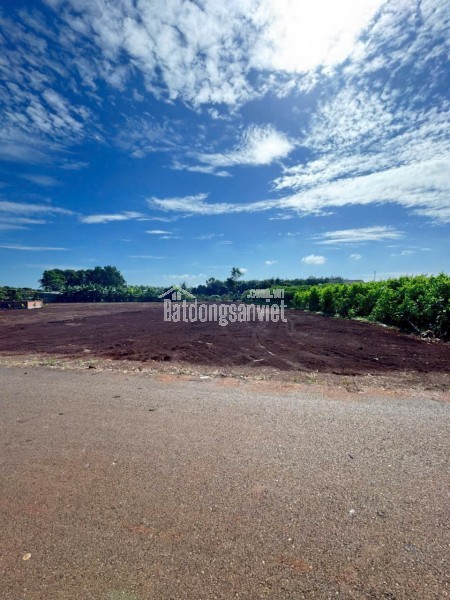 CẦN BÁN LÔ ĐẤT LONG PHƯỚC BRVT – nay thuộc P. TAM LONG, TP.HCM