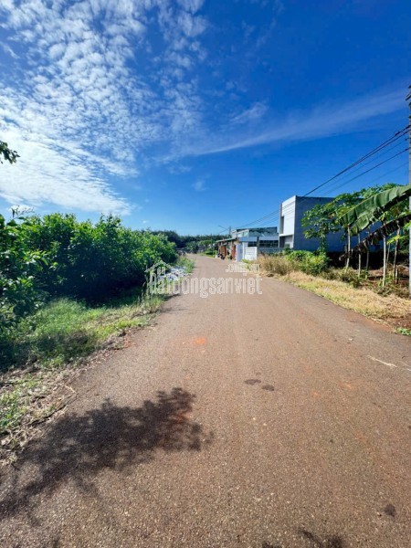 CẦN BÁN LÔ ĐẤT LONG PHƯỚC BRVT – nay thuộc P. TAM LONG, TP.HCM