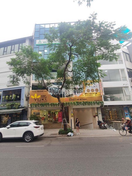 🔅 PHÂN LÔ TRẦN QUANG DIỆU, LÔ GÓC, 50M2 7T THANG MÁY MT 6M, GARA 2 Ô TÔ,  CHỈ 33.5 TỶ 🔅