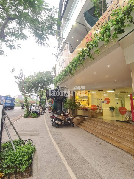 🔅 PHÂN LÔ TRẦN QUANG DIỆU, LÔ GÓC, 50M2 7T THANG MÁY MT 6M, GARA 2 Ô TÔ,  CHỈ 33.5 TỶ 🔅