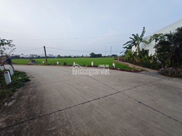 Bán lô đất lúa chuyển thổ đường bê tông 6m giá 1,55 tỷ