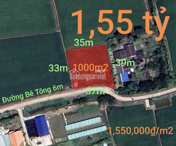 Bán lô đất lúa chuyển thổ đường bê tông 6m giá 1,55 tỷ