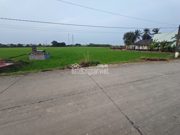 Bán lô đất lúa chuyển thổ đường bê tông 6m giá 1,55 tỷ