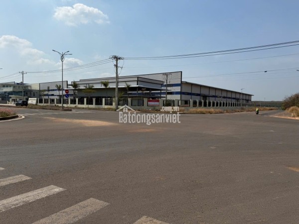 BÁN ĐẤT XUYÊN TÂM – chỉ 650 TR.IEU GIÁ TỐT ĐẦU TƯ