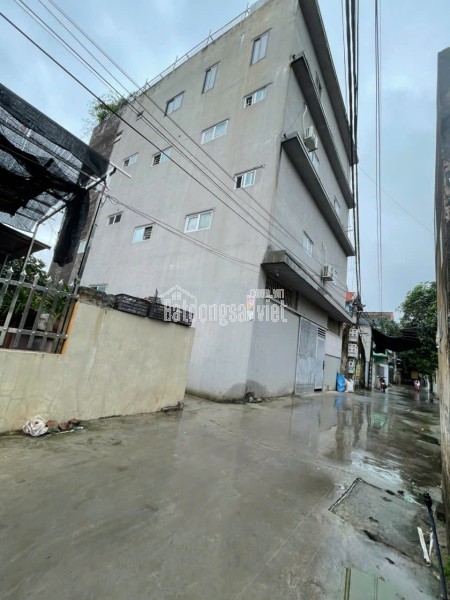 Cho thuê nhà Tổ 14, Lãm Hà, Kiến An – Hải Phòng