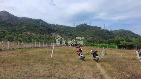 BÁN ĐẤT VƯỜN BẮC NHA TRANG, 1500M2, GIÁ DƯỚI 3TỶ, CẦN BÁN GẤP