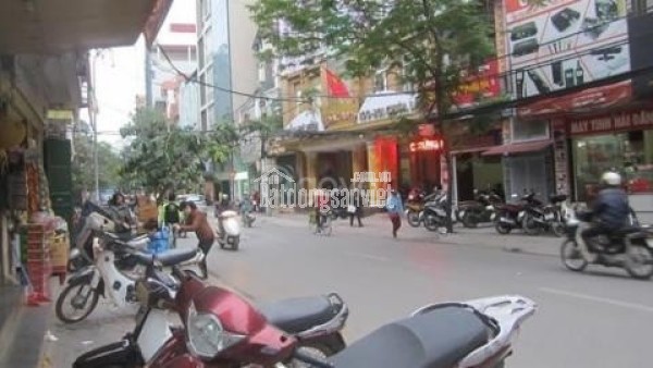 Mở bán: Dự Án: Alluvia City VIEW SÔNG HỒNG KĐT Sinh thái Khoáng nóng tự nhiên vào tận căn Biệt