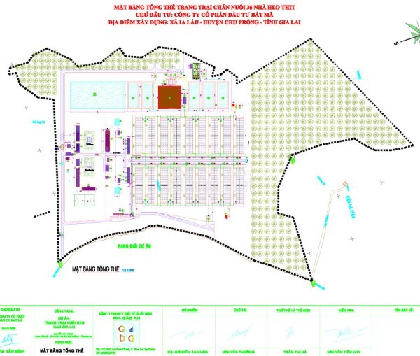 Bán Trang trại heo 26 Ha 18.000 heo thịt, Đang cho thuê 1.1 tỷ/tháng Chư Prông, Gia Lai.