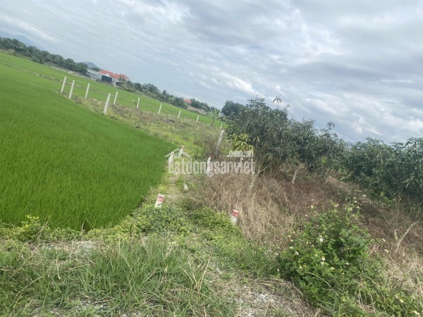 Cần bán khách sạn 1 sao, lộc thọ, nha trang, 92,6m2, giá dưới 30 tỷ, đang kinh doanh, gần biển