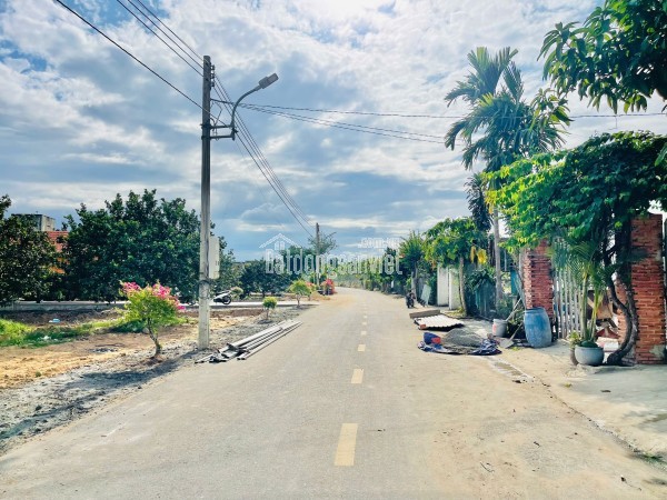 ĐẤT VƯỜN BƯỞI BÌNH DƯƠNG 263M² – CÓ THỔ CƯ, GIÁ 950TR