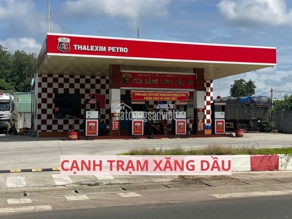 ĐẤT VƯỜN BƯỞI BÌNH DƯƠNG 263M² – CÓ THỔ CƯ, GIÁ 950TR