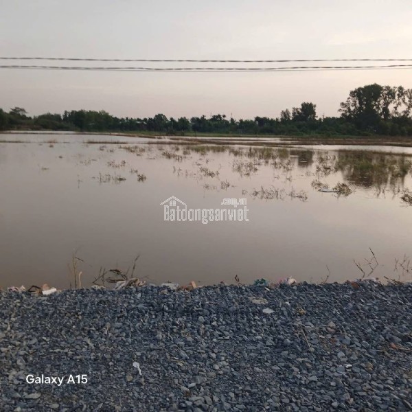 Bán Gấp  2ha Đất CLN, Tân Phú Trung . Củ Chi,Nguyễn Thị Lắng. Giá 48 tỷ.