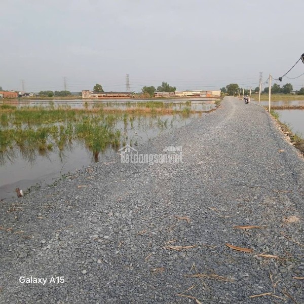 Bán Gấp  2ha Đất CLN, Tân Phú Trung . Củ Chi,Nguyễn Thị Lắng. Giá 48 tỷ.