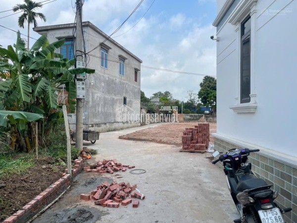 BÁN ĐẤT THÔN QUANG TRUNG XÃ QUỲNH PHỤ - CÁCH KCN SAO VÀNG 1P ĐI XE - GIÁ 690 TRIỆU