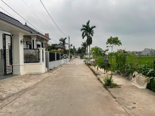 BÁN ĐẤT THÔN QUANG TRUNG XÃ QUỲNH PHỤ - CÁCH KCN SAO VÀNG 1P ĐI XE - GIÁ 690 TRIỆU