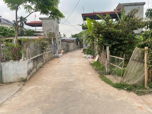 BÁN ĐẤT THÔN QUANG TRUNG XÃ QUỲNH PHỤ - CÁCH KCN SAO VÀNG 1P ĐI XE - GIÁ 690 TRIỆU