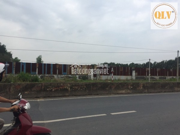 BÁN ĐẤT XÂY DỰNG NHÀ XƯỞNG – GÒ DẦU, TÂY NINH – 36.176m²